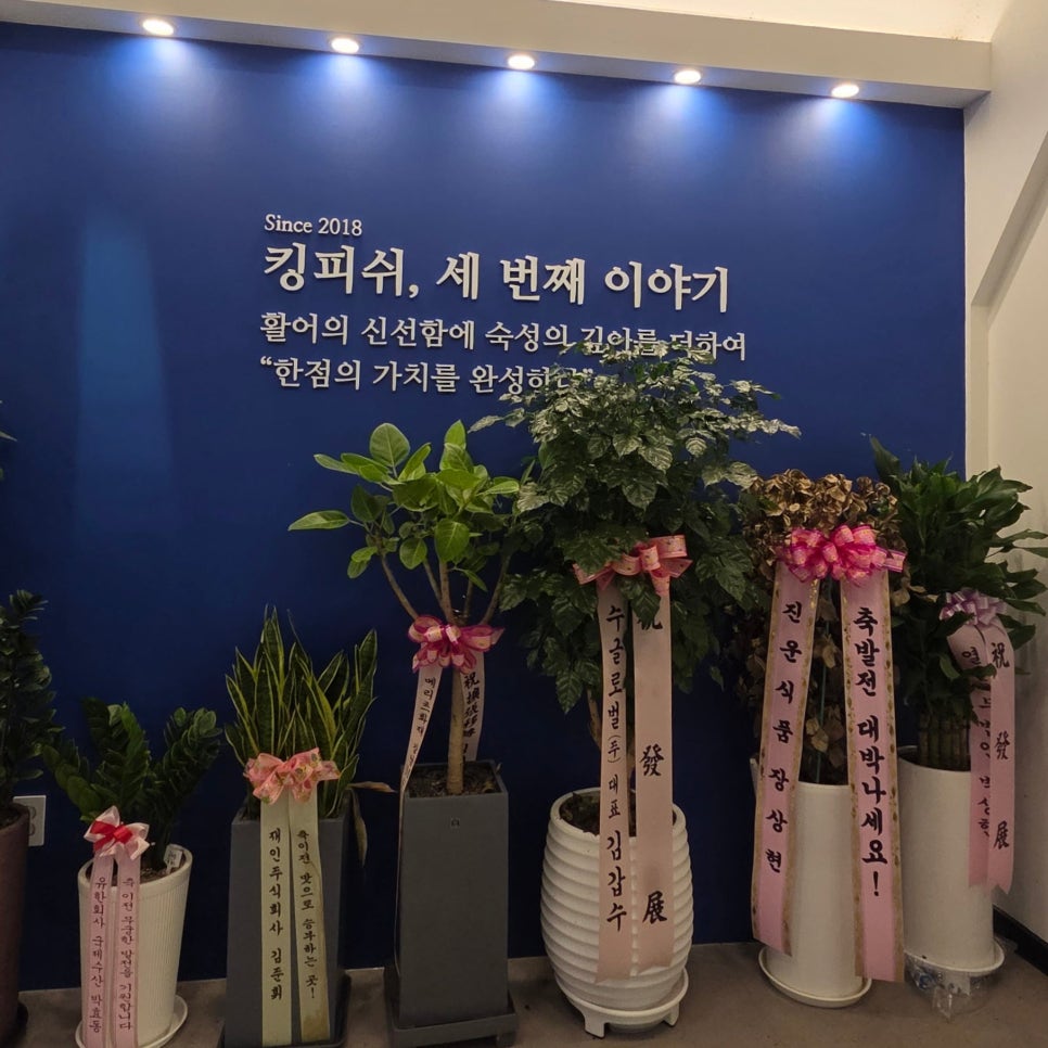 킹피쉬 사진 4