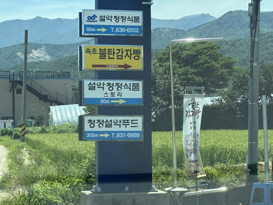 속초불탄감자빵 본점 사진 2