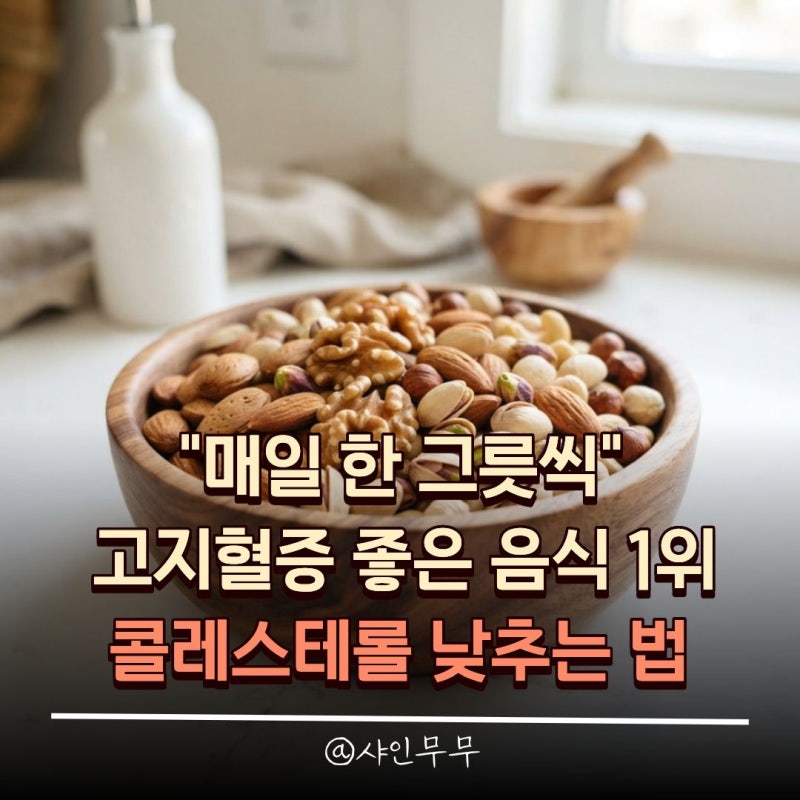 "매일 한 그릇씩" 고지혈증 좋은 음식 1위, 콜레스테롤 낮추는 법