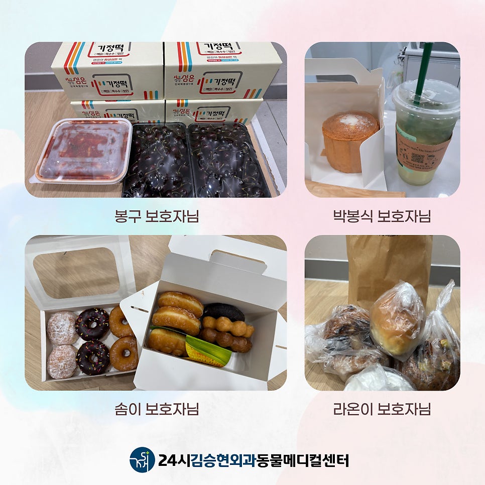 24시김승현외과동물메디컬센터 사진 2