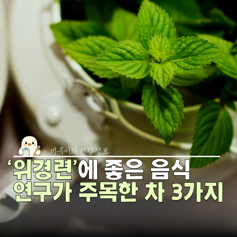 위경련에 좋은 음식, 도움 될 수 있는 차 3가지와 대처법