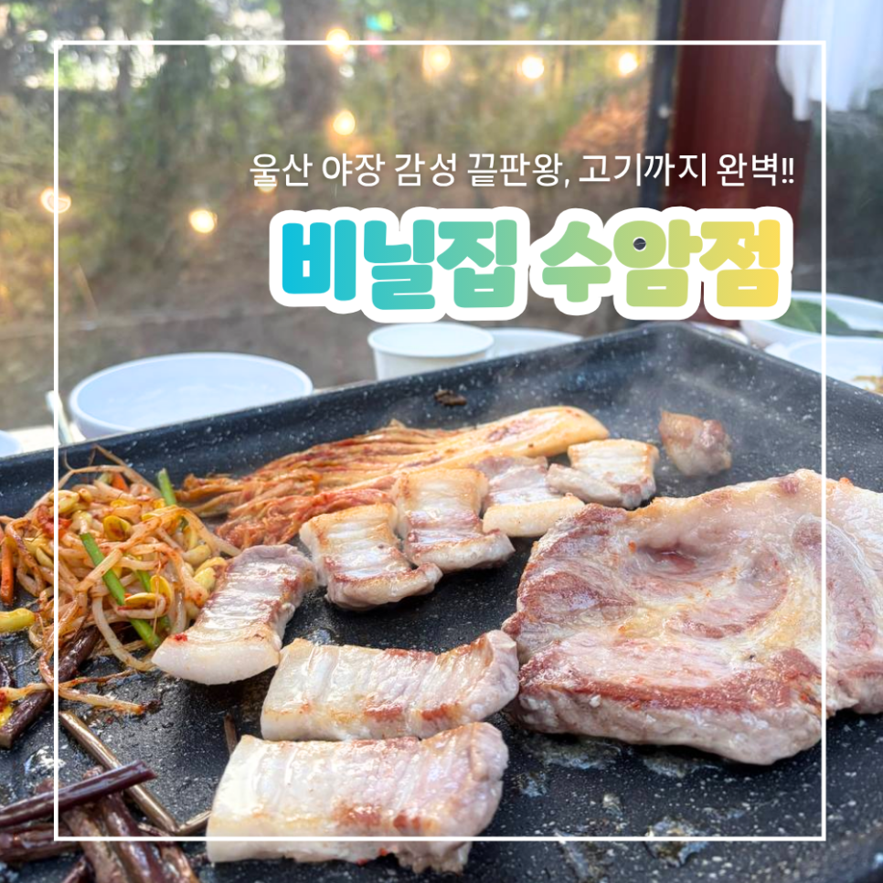 비닐집 수암점 사진 1