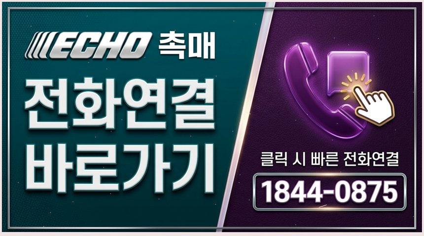 에세이 사진 2