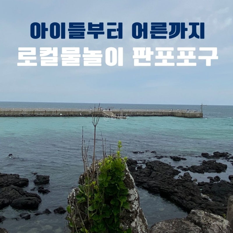 제주 판포포구 스노쿨링 물때 간조 만조 시간 샤워 주차, 총정리