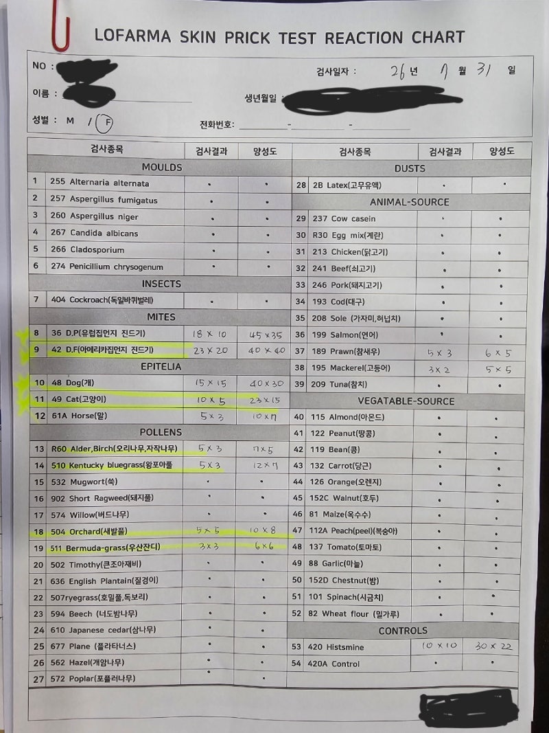 천식인간의 알러지 피부 반응 검사 후기