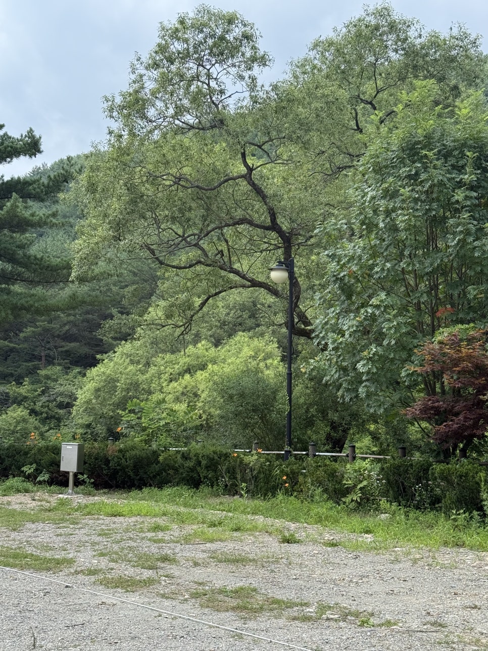 장산 사진 4