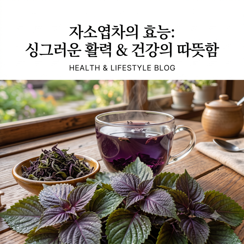 자소엽 효능 총정리! 차·요리·건강관리까지 제대로 활용하는 방법