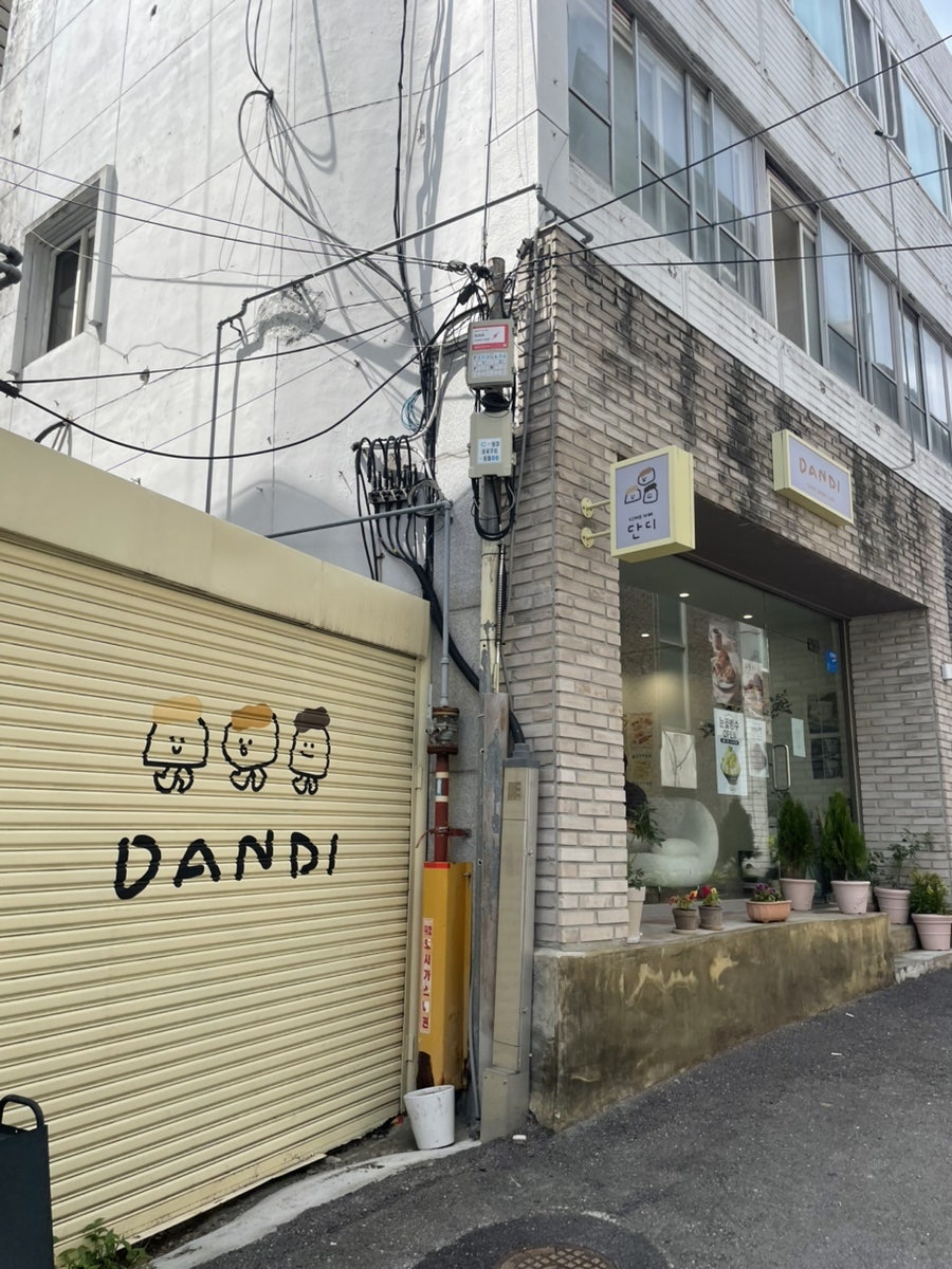 단디 사진 1