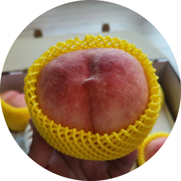 다인 사진 1