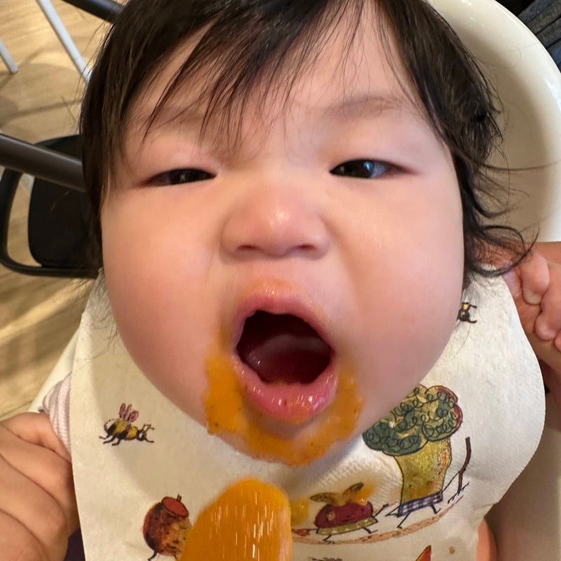 7개월 아기 중기이유식 스케줄, 하루 몇 번 먹여야 할까?
