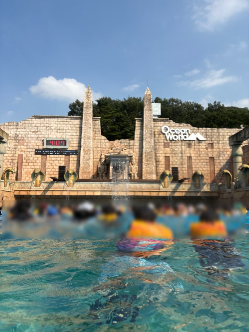 홍천 오션월드 오션패스 없이 어트랙션 3개 성공? 골드시즌 주말 평일 및 준비물 먹거리 꿀팁