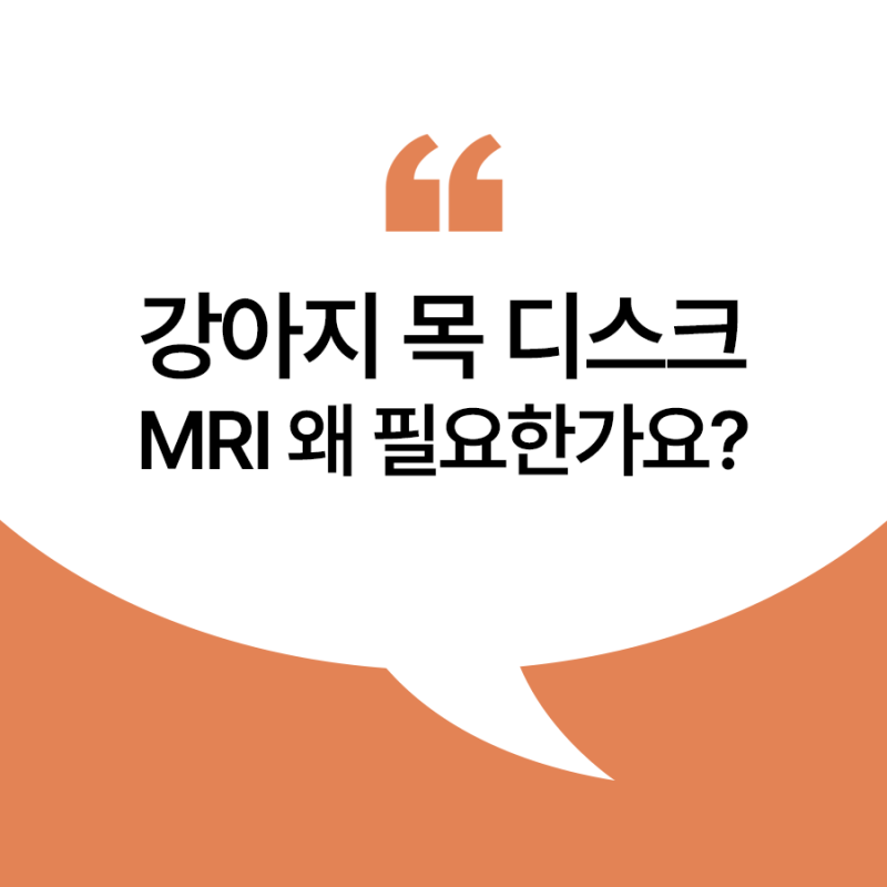 강아지 목 디스크 증상, 안으려 하면 비명 지르나요? MRI가 필요한 순간 - 울산 동물병원 에스....