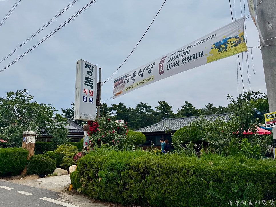 장독 사진 3