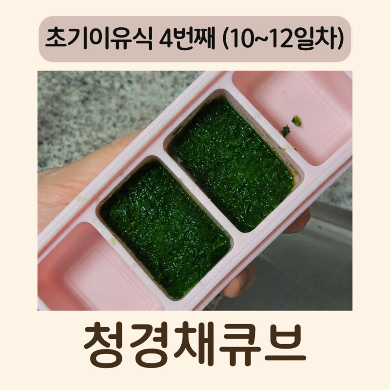 초기이유식 청경채큐브 소고기청경채미음 초간단 레시피