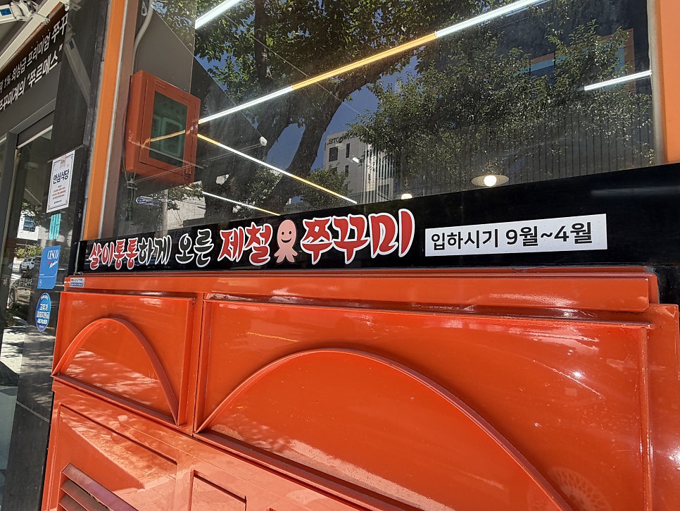 쭈꾸미가알고싶다 사진 3
