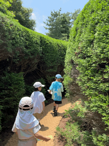 제주동쪽여행 :: 김녕미로공원, 아이랑 다녀온 제주 미로공원, 입장료, 고양이왕국 스탬프체....