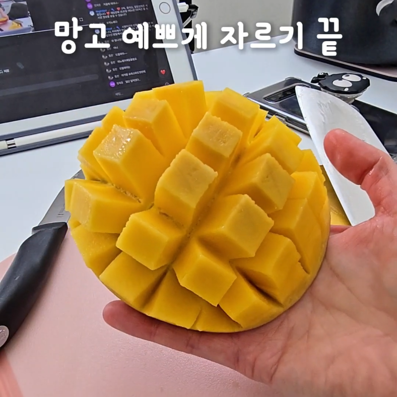 망고 예쁘게 자르는 방법 망고 손질법