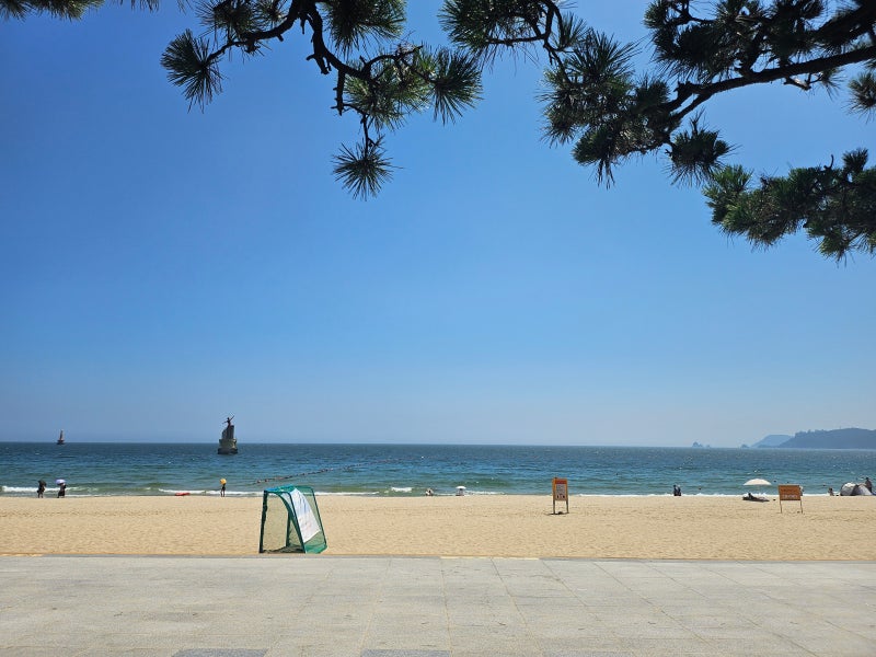 [해운대 미포 유람선] 올 여름 부산 여행! 낭만 가득 바다 위로 떠나볼까? :: 부산가볼만한곳,....