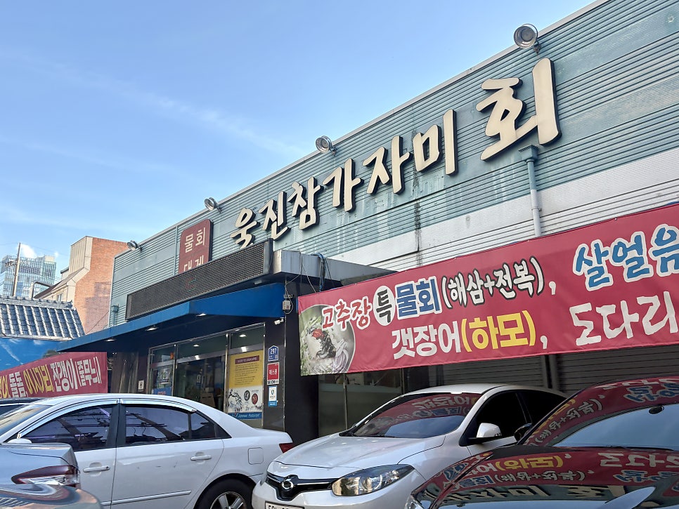 울진참가자미 사진 1