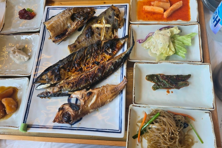 사과나무 사진 3