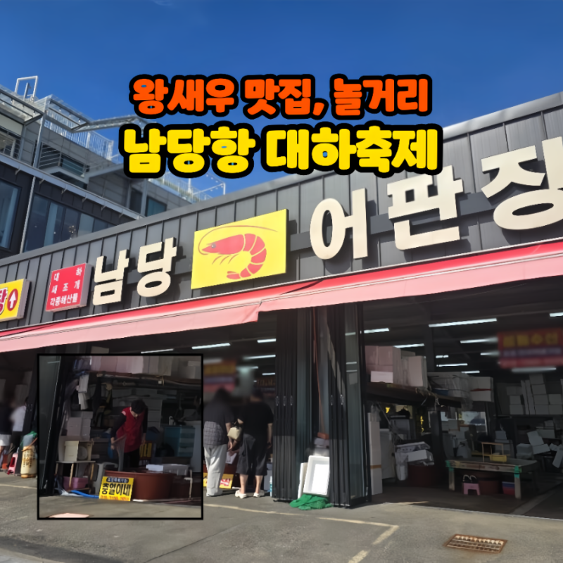 남당항 대하축제 맛집 남당어판장, 놀거리 2025년 가격 후기
