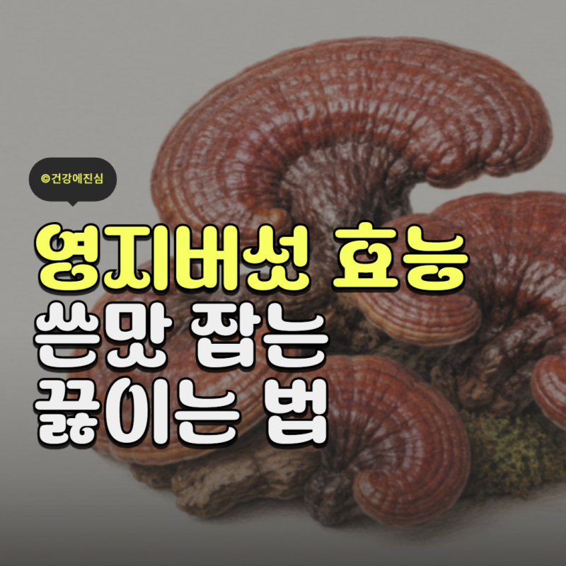 자연산 영지버섯 효능 4가지와 안전하게 끓여 먹는법 주의사항은?