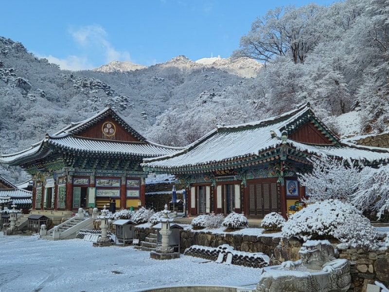 楊平龍門寺寺院住宿冬季心得：住宿、供養、圍爐、製作佛珠