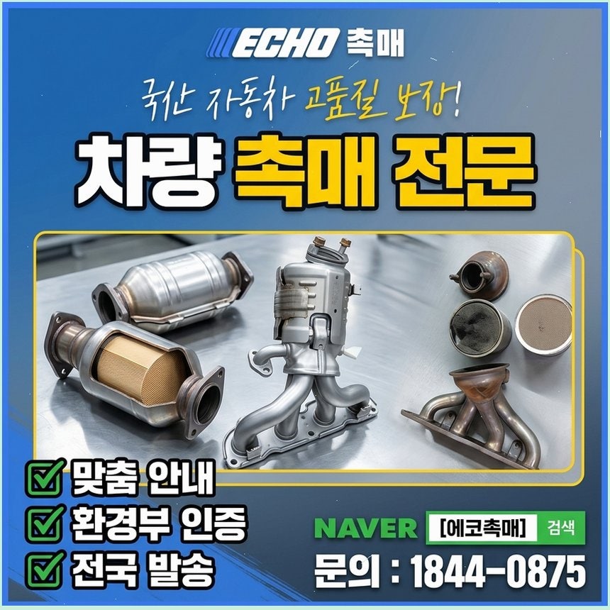 에세이 사진 6