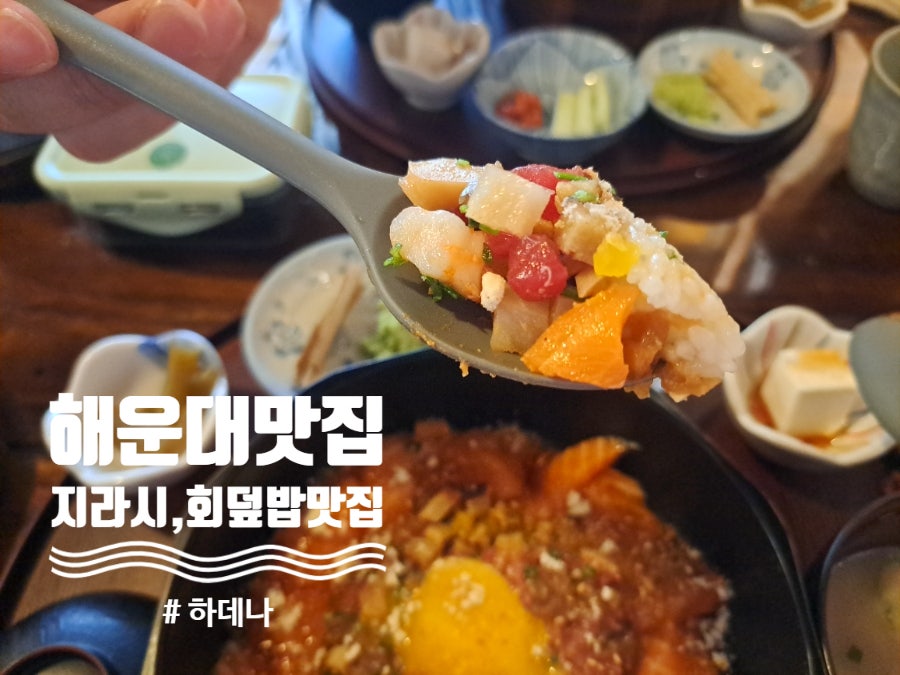 하데나 사진 1