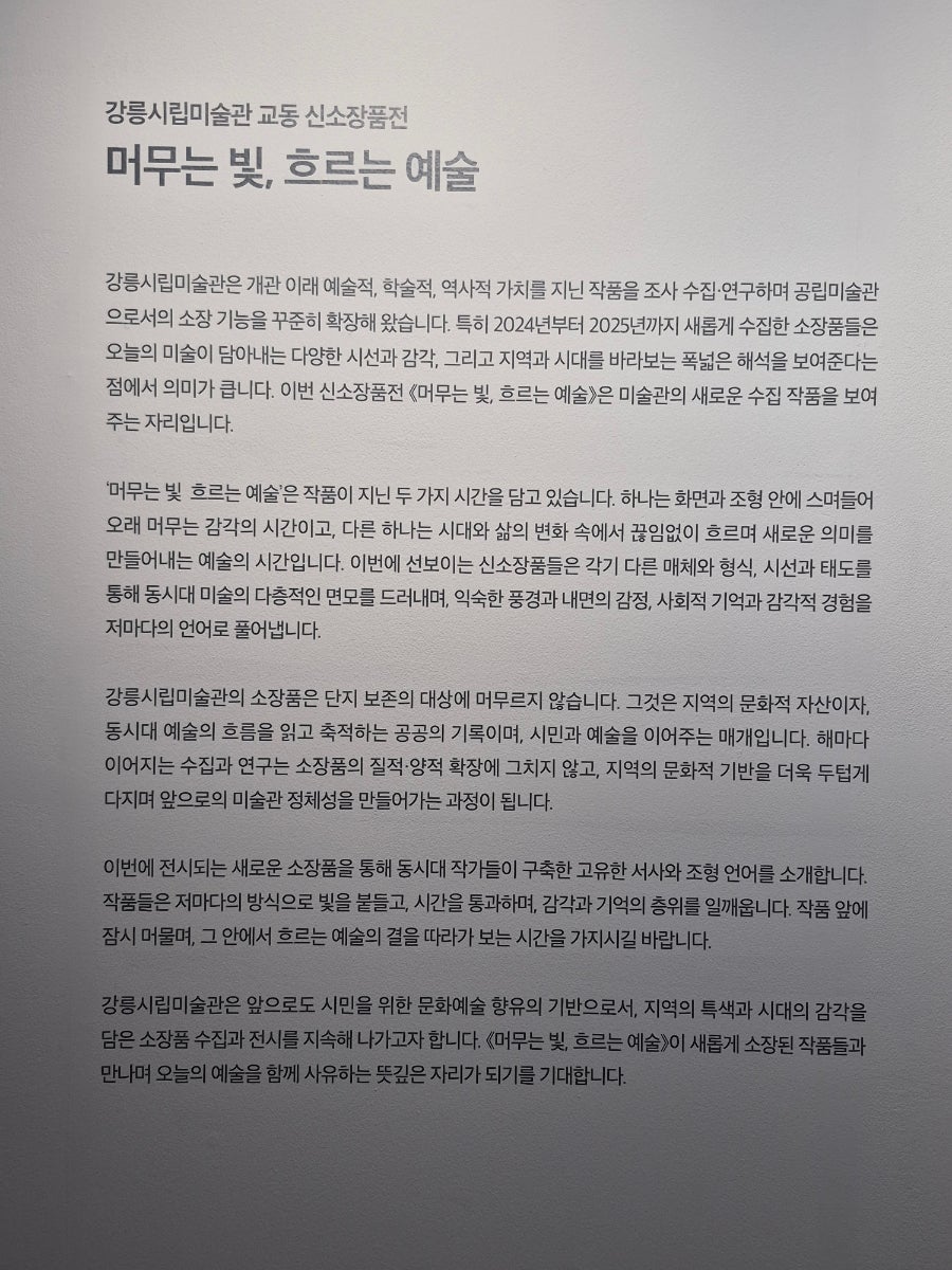강릉시립미술관 교동 사진 5
