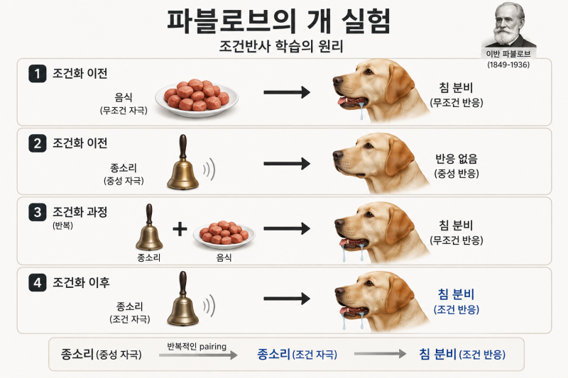 조루크림, 딜레이딕 가장 효과적으로 쓰는 방법 (feat. 해외에서 난리난 해결법, 유료급 칼럼)