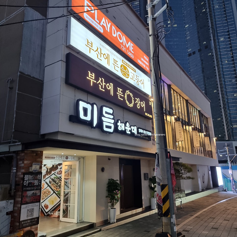 부산에뜬고등어 사진 3