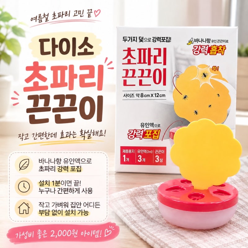 다이소 초파리 끈끈이 후기｜2,000원으로 초파리 잡아본 내돈 내산 솔직한 사용 후기