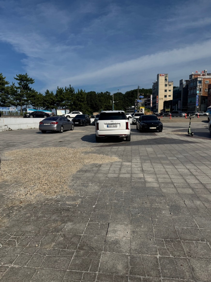 일미어담 사진 4