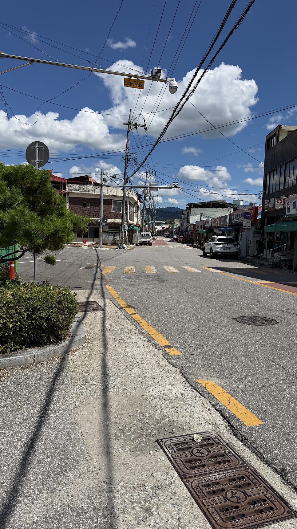 칠보국시 사진 2