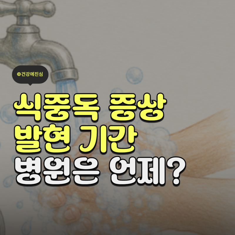 식중독 증상 발현 기간과 대처 및 예방 수칙 한눈에