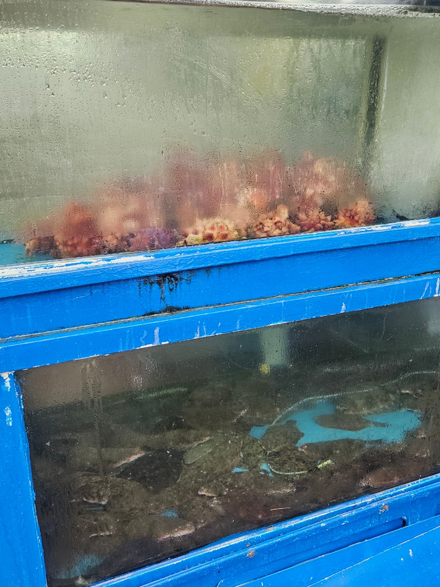 삼포회 사진 2