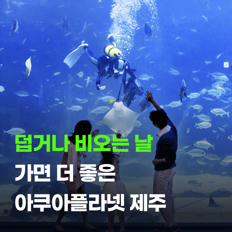 가볼 만한 실내코스 아쿠아플라넷 제주 저렴하게 예약하는 법