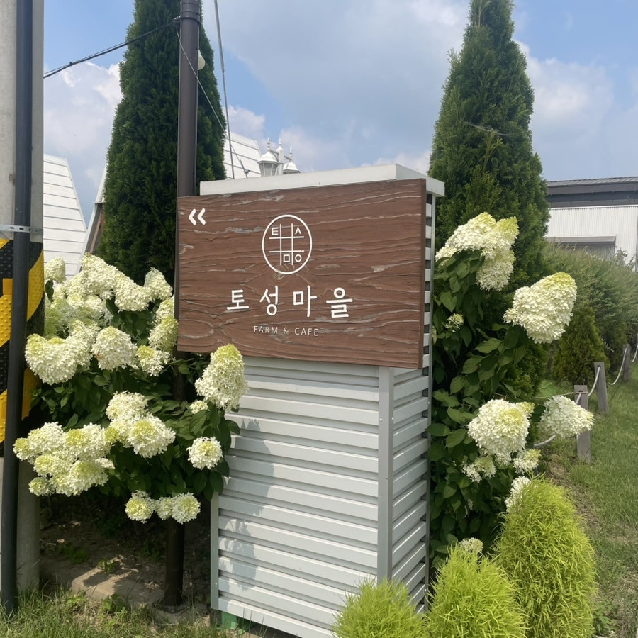토성마을 사진 2