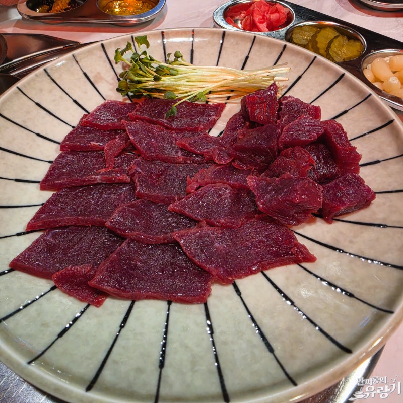 경기광주 생고기와 차돌 오드레기 경안동 청솔 뭉티기