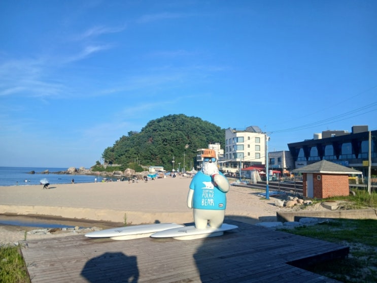 (1): 아야진해변(스노쿨링),남경막국수,낙산사,<b>죽도</b>식당,<b>죽도</b>정
