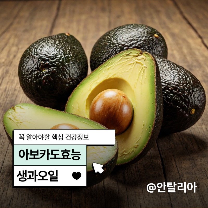 아보카도효능 "생과 오일 캡슐 칼로리 비교" 영양 가이드!