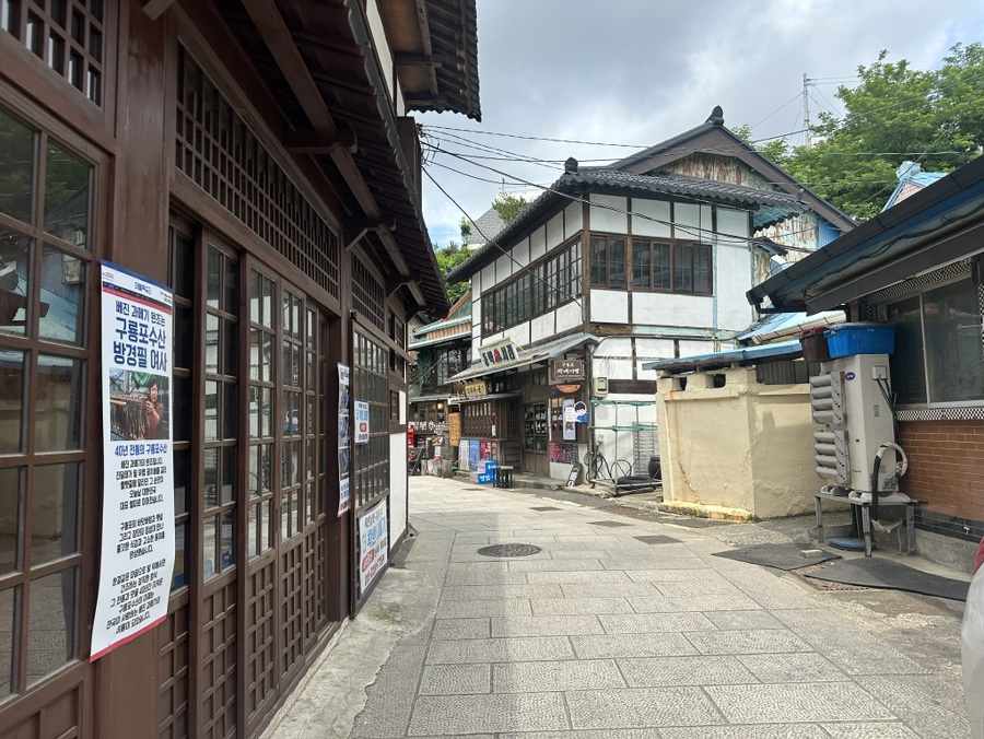 구룡 사진 2
