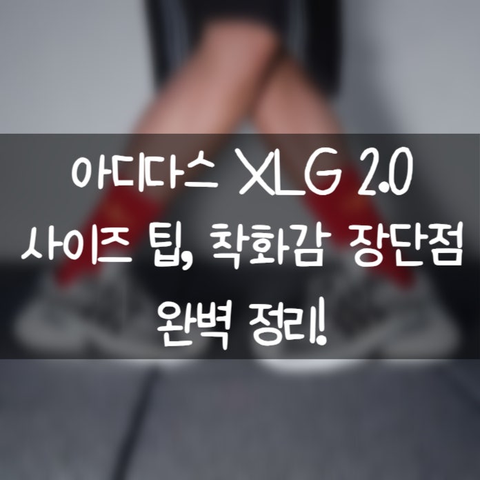 아디스타 XLG 2.0 리뷰 | 착화감, 사이즈 팁, 후기 총정리!