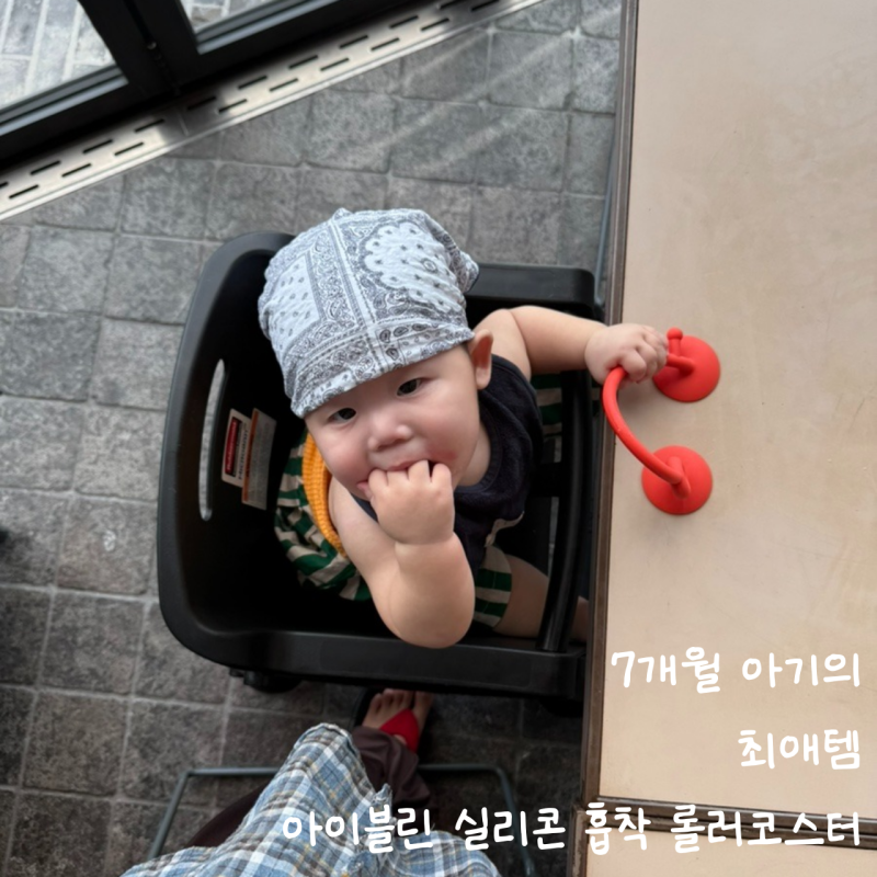 [문스룸]아이블린 실리콘 흡착 롤러코스터 - 7개월 아기의 하이체어, 외출 필수템
