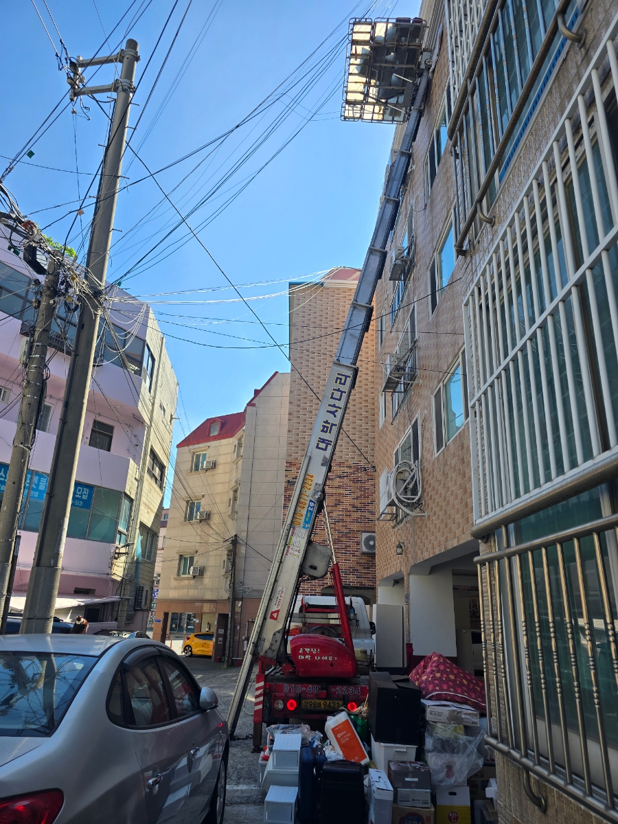 대박 사진 4