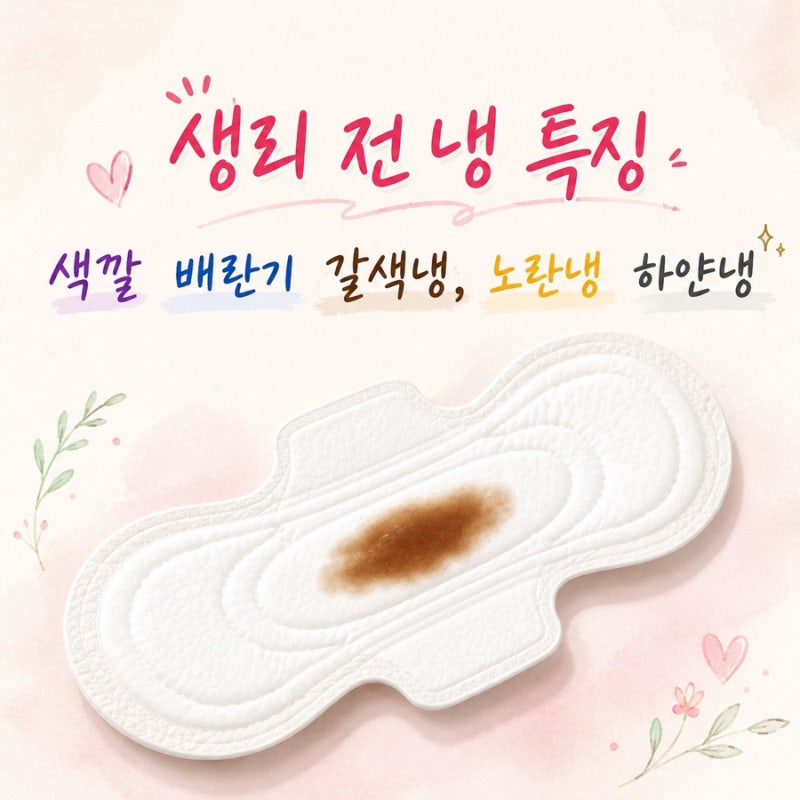 생리전 냉 특징 색깔 배란기 갈색냉 노란냉 하얀냉