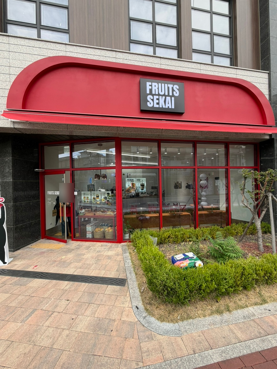 루츠 사진 1