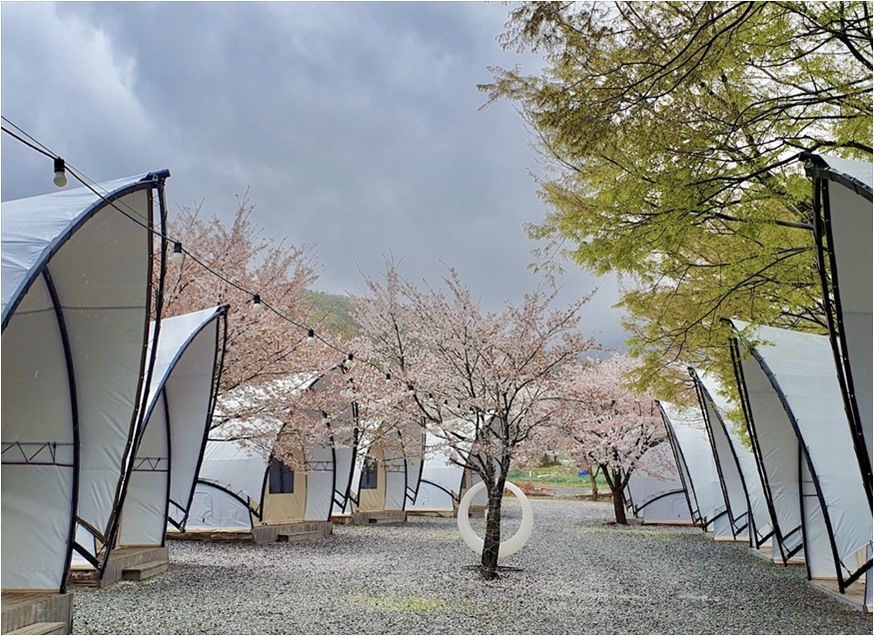 산내자연캠프 사진 3