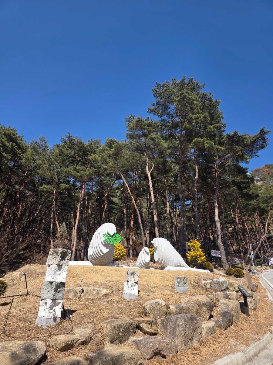 거창항노화힐링랜드 사진 2
